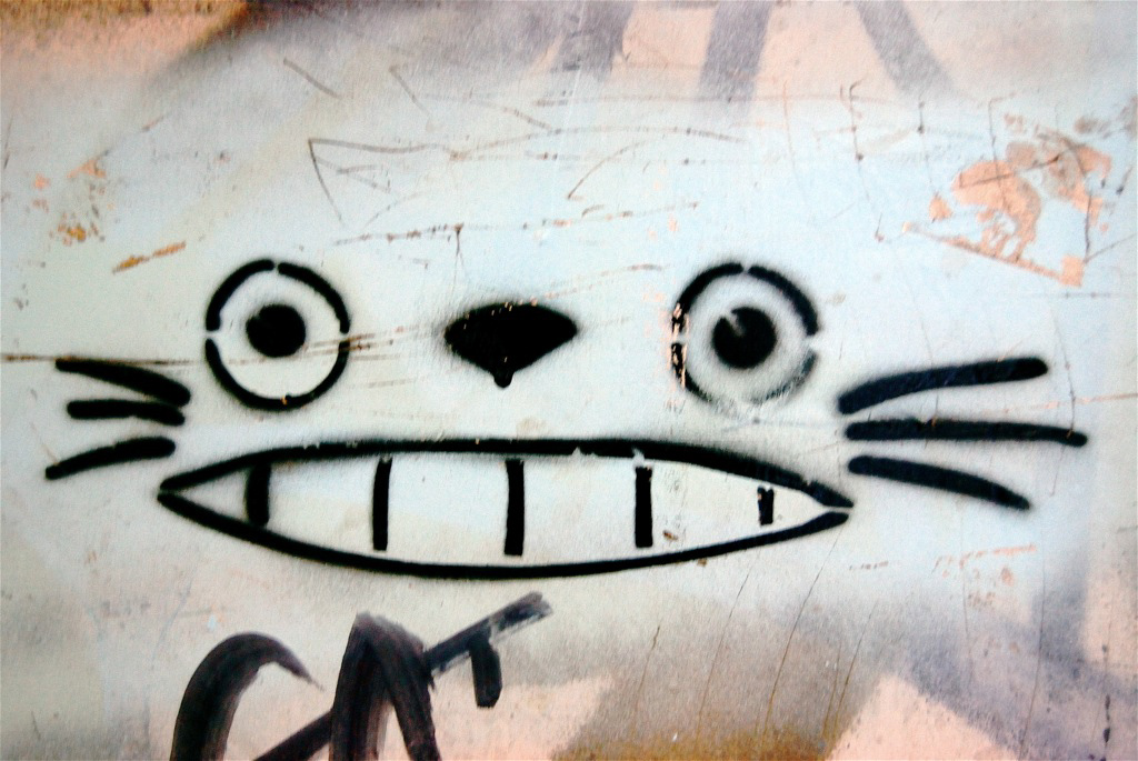 dsc_3414_sonrisa_gatuna.jpg