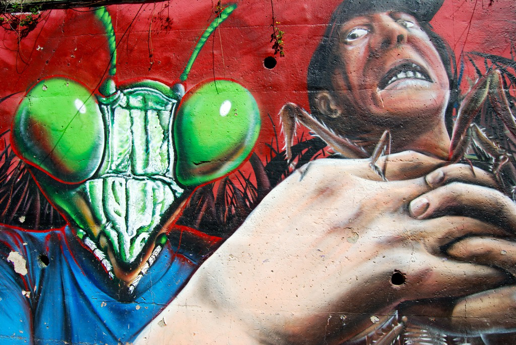 Invasión